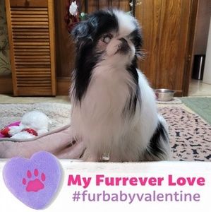 Meet your Posher, Vicki